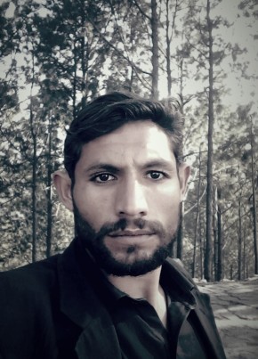 Liaqat malik, 28, پاکستان, راولپنڈی