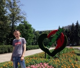 Павел, 27 лет, Саранск