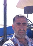 sonerball, 54 года, Elâzığ