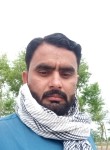Ghazi Abbas, 30  , Islamabad
