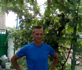 Андрей, 46 лет, Керчь