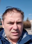 Николай Шадрин, 49 лет, Санкт-Петербург