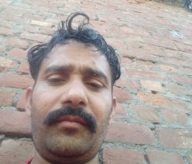 K, 38 лет, Pathankot