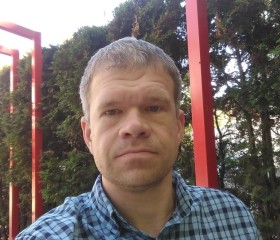 Дмитрий, 42 года, Заокский
