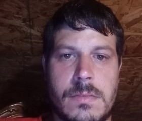 Daniel, 31 год, Richmond (Commonwealth of Kentucky)