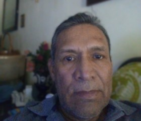 Javier, 60 лет, Monterrey City