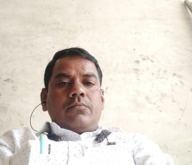 DINESH Choudhary, 39 лет, Ahmedabad