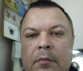 Денис, 44 года, Брянск