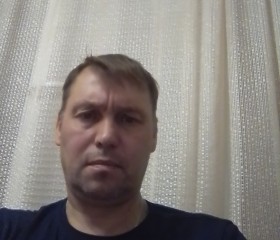 Роман Шевл, 49 лет, Тамбов