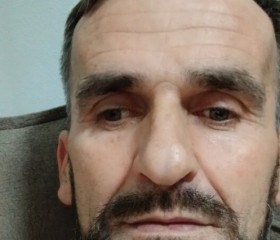 luli, 45, Gjakove