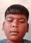 Sanjay Sonekar, 19 лет, Warud
