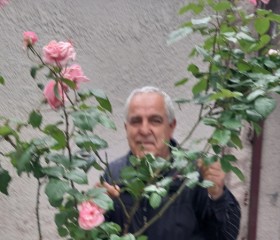 Sergey, 62, Yerevan