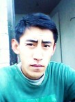 Murat Almaty, 29 лет, Алматы