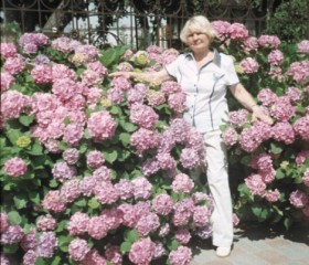 Галина, 74 года, Костянтинівка (Донецьк)
