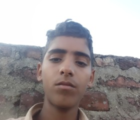 Vikram, 33 года, New Delhi