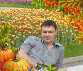 Станислав, 52 года, Железногорск (Красноярский край)