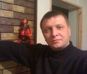Андрей, 48 лет, Задонск