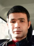 Фарух, 36 лет, Toshkent