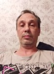 Денис Шафранов, 47 лет, Санкт-Петербург