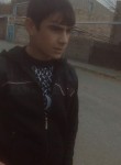 Artyom, 22 года, Արմավիր