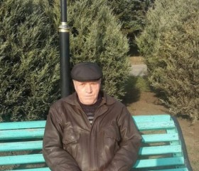 Александр, 66 лет, Воронеж