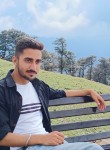 Abhishek sharma, 19 лет, Shimla