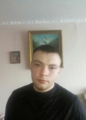Дмитрий из Ульяновска 33 года