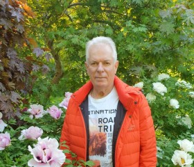 Владимир, 66 лет, Калининград