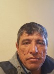 алекс, 44 года, Aşgabat