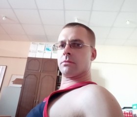 Александр, 43 года, Владимир