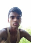 Rohijknmar, 18 лет, Patna