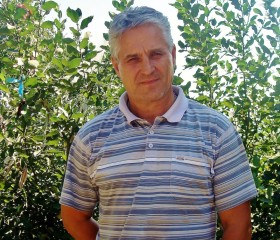 Сергей, 55 лет, Димитровград