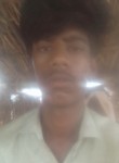 Solanki, 19 лет, Gariadhar
