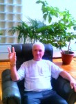 Иван, 72 года, Вологда