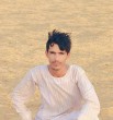 حامد