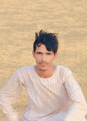 حامد