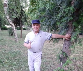 nik, 66, Temryuk