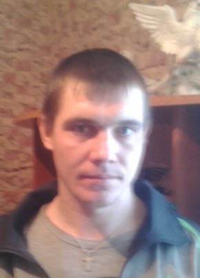 дмитрий антонов, 33, Россия, Богородицк