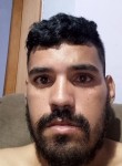 Amarildo, 28 лет, Telêmaco Borba
