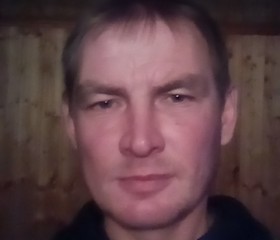 Вячеслав, 43 года, Бижбуляк