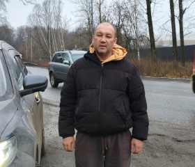 Pavel, 52, Priyutovo