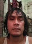 Anton, 42 года, Kualatungkal