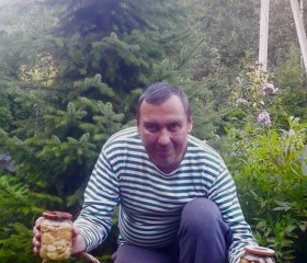 Вячеслав, 53 года, Москва