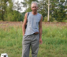 Leonid, 65, Kolpino