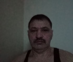 Саин Амерханов, 57 лет, Павлодар