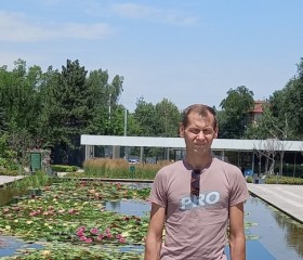 Николай, 44 года, Павлодар