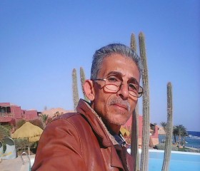     ابو شهد, 57 лет, القاهرة
