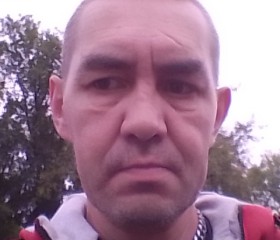Константин, 45 лет, Серпухов