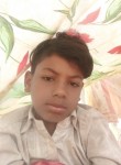 DILKAS ANASARI, 22 года, Patna