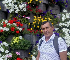 Виталий Могила, 63 года, Дніпро